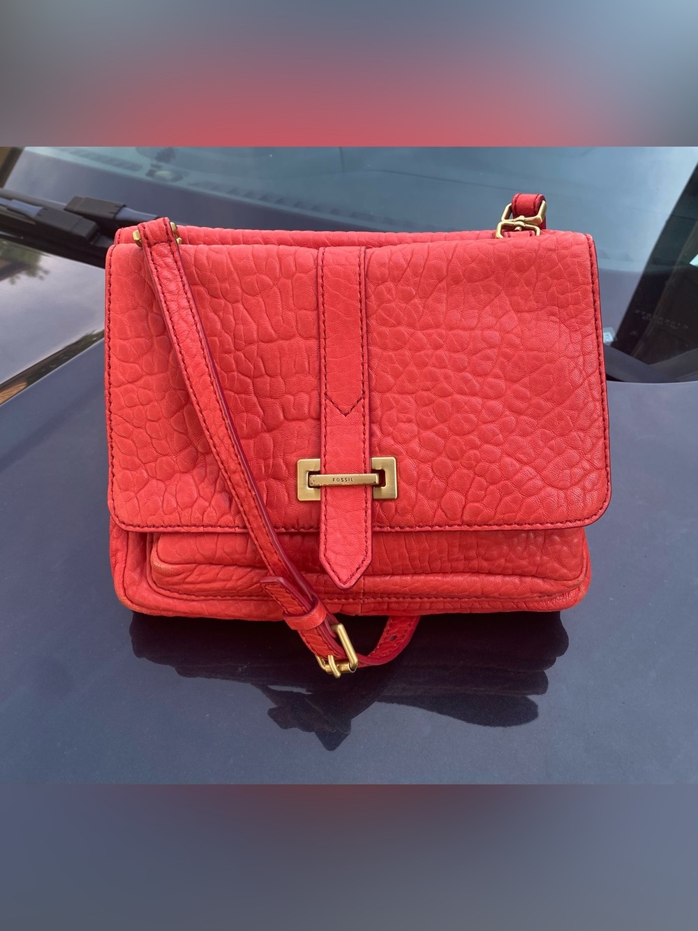 Fossil RARE Pebbled Lamb Hide Leather
Shoulder Bag.